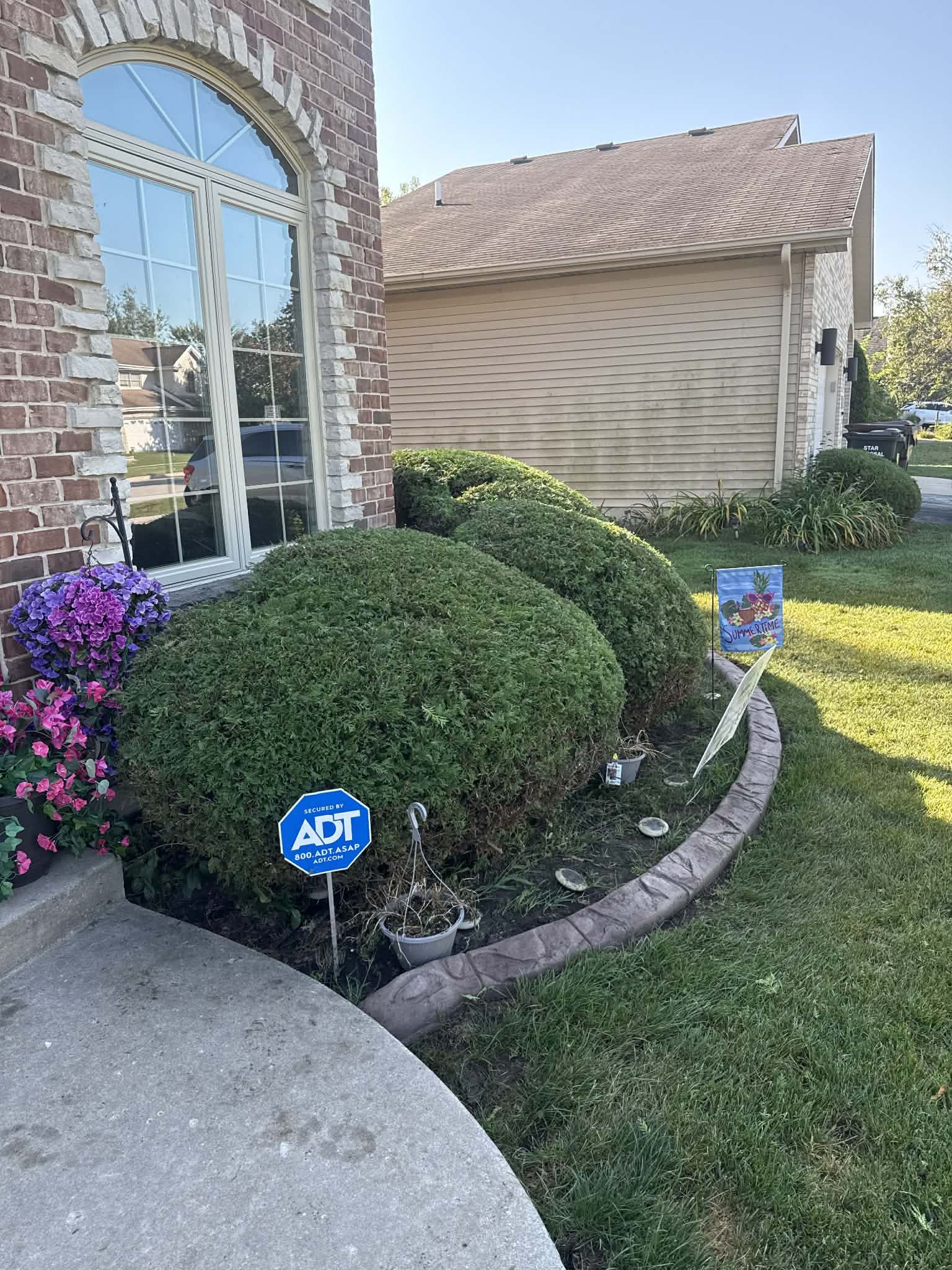 Landscape design with ferns and colorful flowers